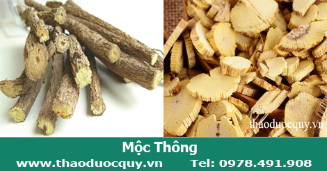 mộc-th&ocirc;ng